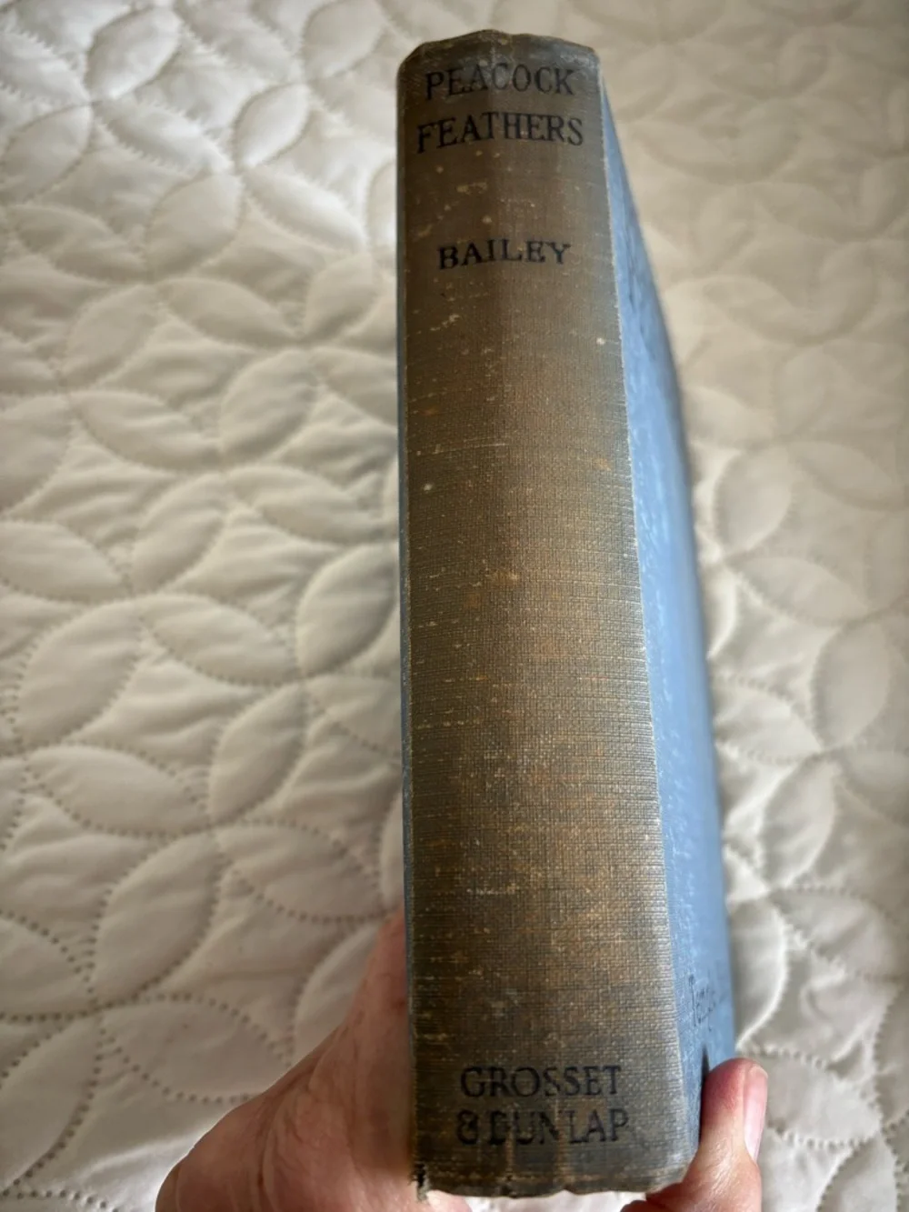 Vintage Book Stack 1924 Peacock’s Feathers by Bailey and  Capitola by Southward